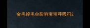 金毛掉毛会影响宝宝呼吸吗