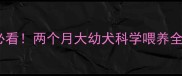 新手必看两个月大幼犬科学喂养全攻略