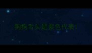 狗狗舌头是紫色代表