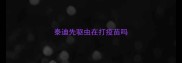 泰迪先驱虫在打疫苗吗