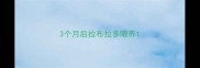 3个月后拉布拉多喂养