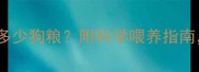 五个月柴犬喂多少狗粮附科学喂养指南家长必看