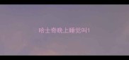 哈士奇晚上睡觉叫