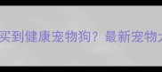 北京哪里能买到健康宠物狗最新宠物犬购买指南