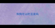 狗狗可以吃豆浆吗