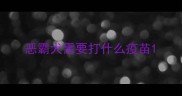 恶霸犬需要打什么疫苗