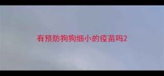 有预防狗狗细小的疫苗吗