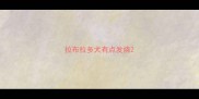 拉布拉多犬有点发烧