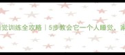 小狗独立睡觉训练全攻略5步教会它一个人睡觉家长必看