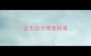 金毛幼犬喂食标准