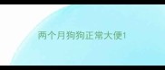两个月狗狗正常大便