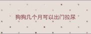 狗狗几个月可以出门拉尿