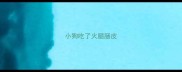 小狗吃了火腿肠皮