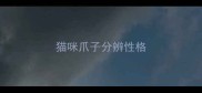 猫咪爪子分辨性格