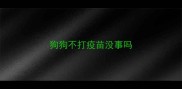 狗狗不打疫苗没事吗