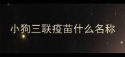 小狗三联疫苗什么名称