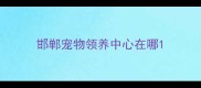 邯郸宠物领养中心在哪