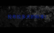 拉布拉多犬的标准