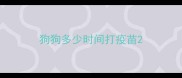 狗狗多少时间打疫苗