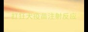 打狂犬疫苗注射反应