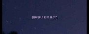 猫咪鼻子粉红变白