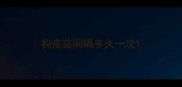 狗疫苗间隔多久一次