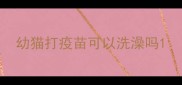幼猫打疫苗可以洗澡吗
