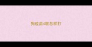 狗疫苗4联怎样打