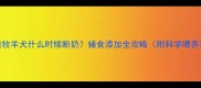 边境牧羊犬什么时候断奶辅食添加全攻略附科学喂养表