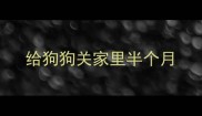 给狗狗关家里半个月