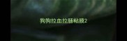 狗狗拉血拉肠粘膜