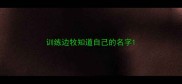 训练边牧知道自己的名字