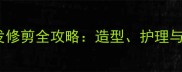金毛犬毛发修剪全攻略造型护理与注意事项
