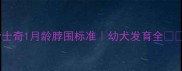 哈士奇1月龄脖围标准幼犬发育全