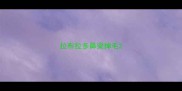 拉布拉多鼻梁掉毛