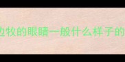 边牧的眼睛一般什么样子的