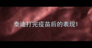 泰迪打完疫苗后的表现