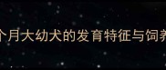 萨摩两个月大幼犬的发育特征与饲养全攻略