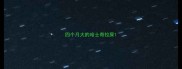四个月大的哈士奇拉屎
