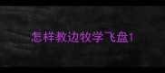 怎样教边牧学飞盘