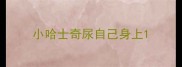 小哈士奇尿自己身上