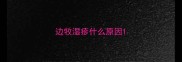 边牧湿疹什么原因