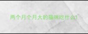 两个月个月大的猫咪吃什么