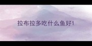 拉布拉多吃什么鱼好