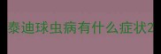 泰迪球虫病有什么症状