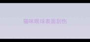猫咪眼球表面刮伤