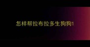 怎样帮拉布拉多生狗狗
