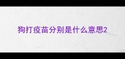 狗打疫苗分别是什么意思