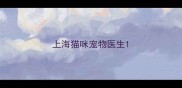 上海猫咪宠物医生