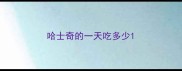 哈士奇的一天吃多少